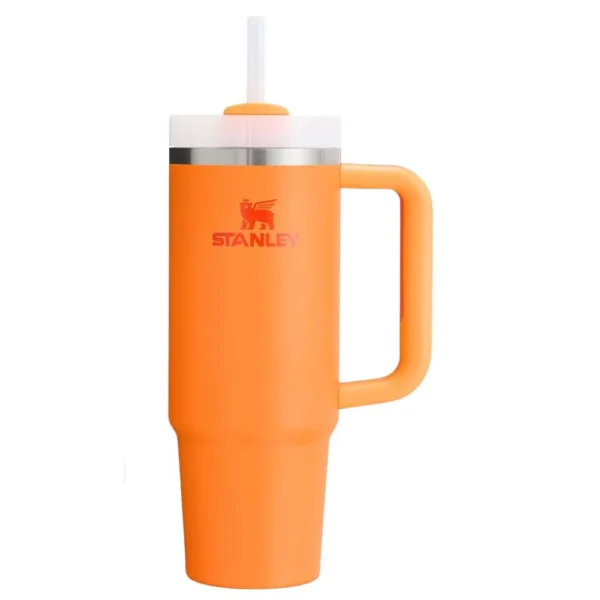 Stanley Quencher 40oz