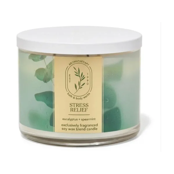 Bath & Body Works Stress Relief (Eucalyptus + Spearmint)